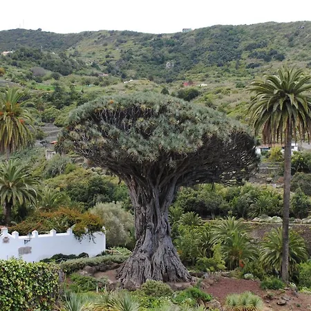 Casa Fa & Na Гарачико